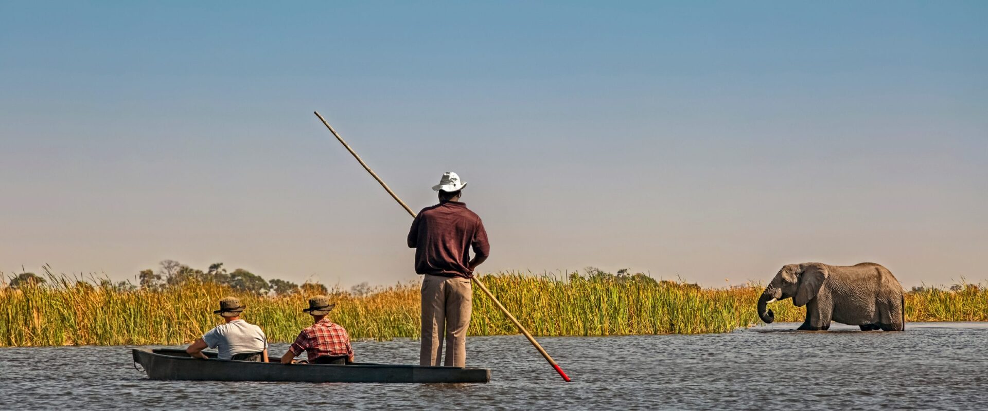 Mokoro excursion on a Okavango Delta safari