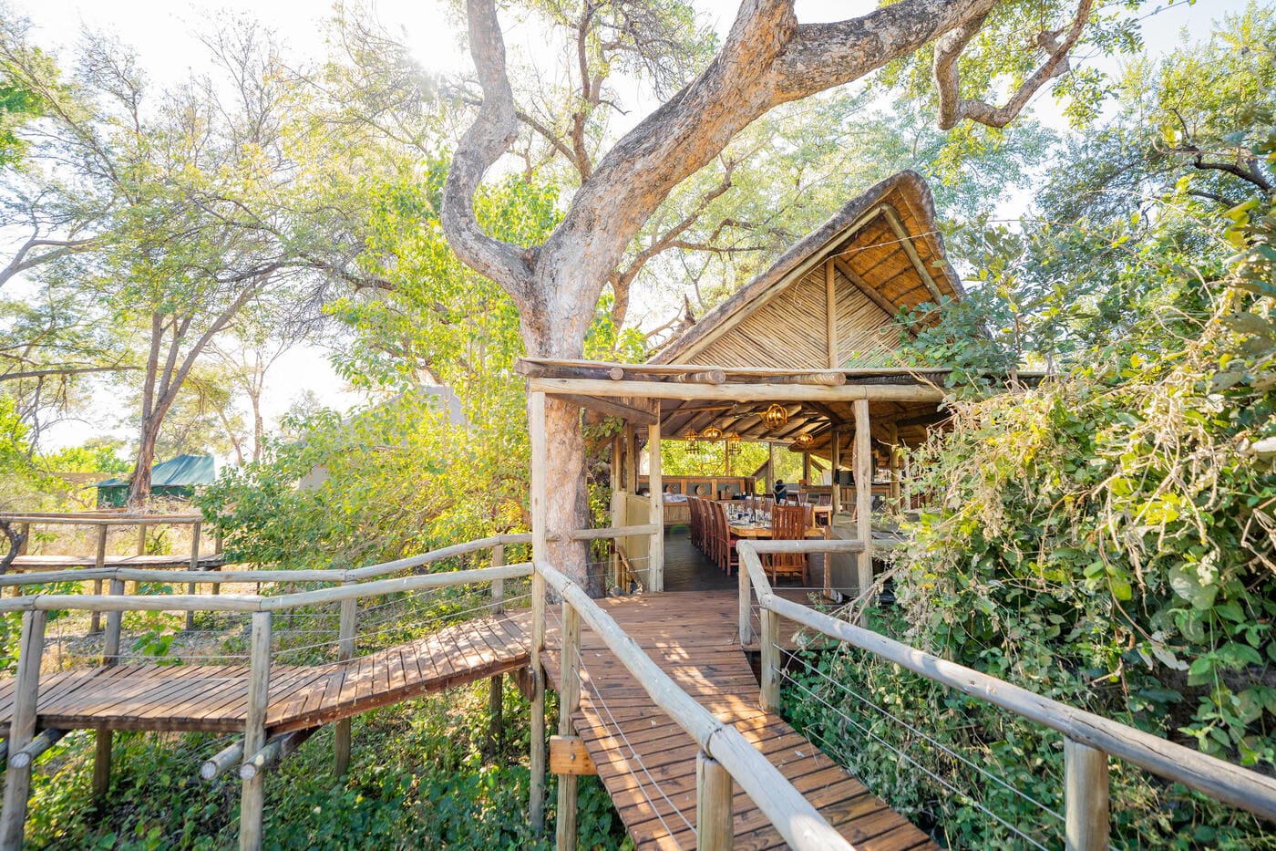 Raised wooden walkways leading to the main dining area at Rra Dinare Camp, surrounded by lush Delta vegetation.