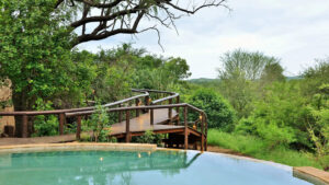 Swimming pool at Shishangeni Main Lodge overlooking the surrounding bush on a private concession in Kruger National Park.