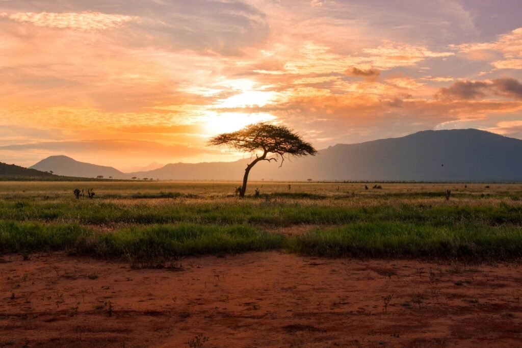 Masai Mara in Kenya at sunset