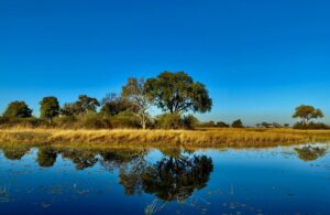 A peaceful Botswana wetland landscape with trees reflected in the water, representing seasonal safari conditions and the Okavango Delta.
