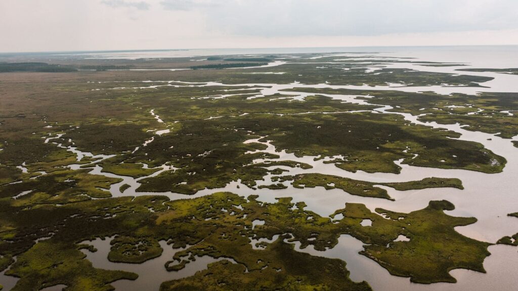 An aerial view of the Okavango Delta’s winding waterways, lagoons and green wetland islands stretching across the vast landscape.