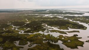 An aerial view of the Okavango Delta’s winding waterways, lagoons and green wetland islands stretching across the vast landscape.